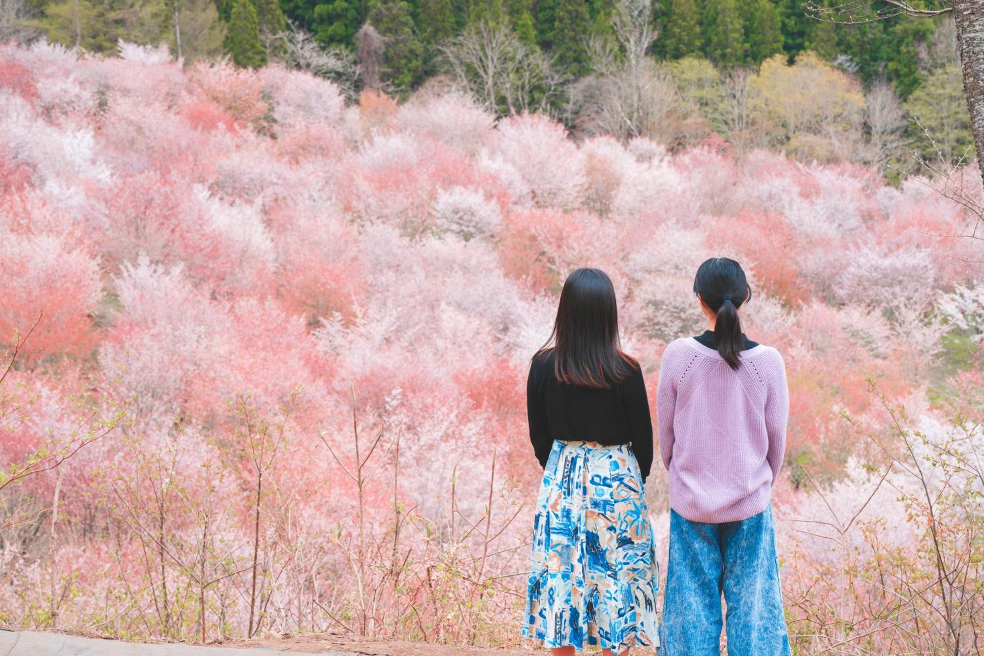 Urabandai Lake Resort Goshiki No Mori Kitashiobara Eksteriør billede