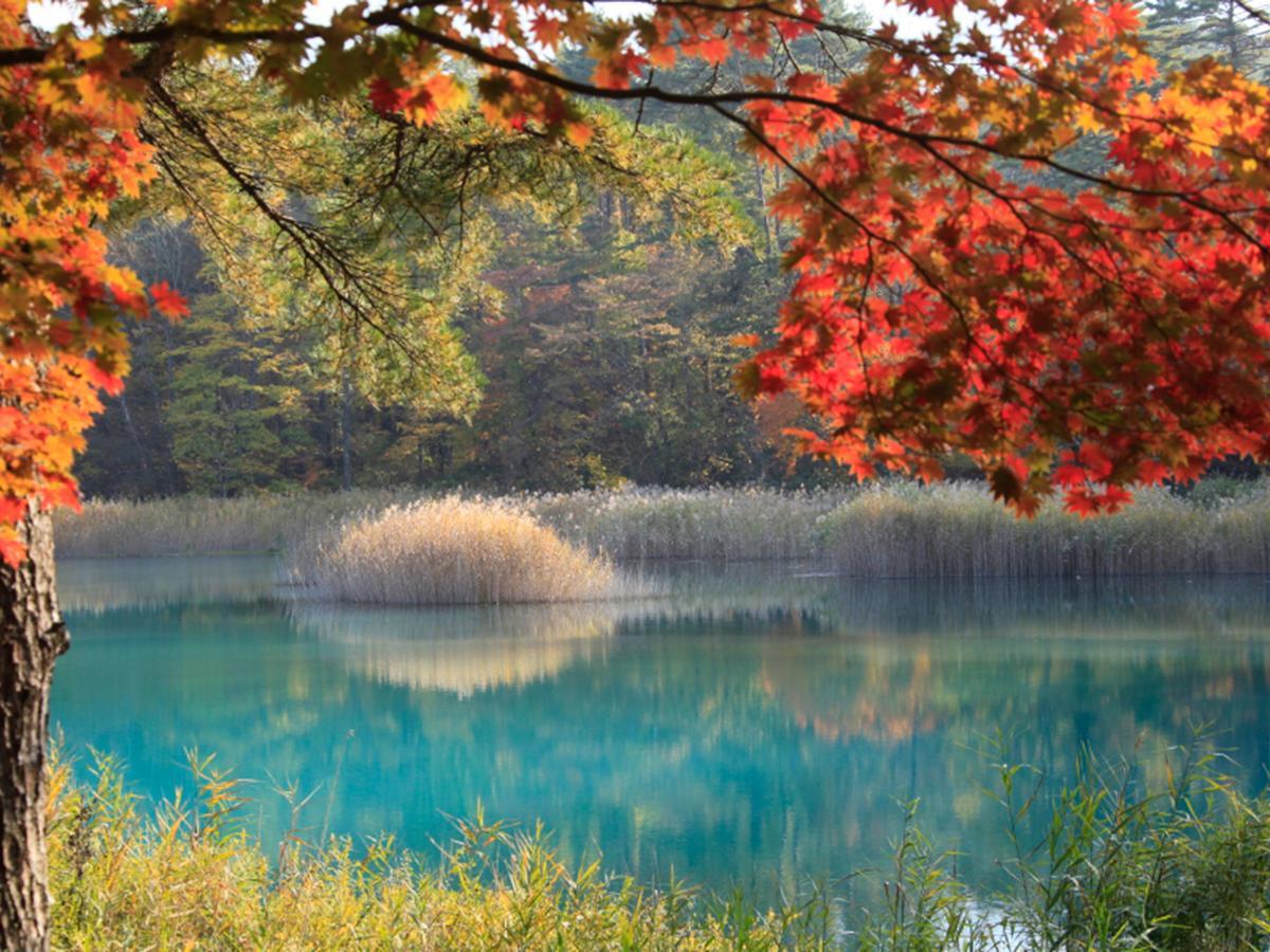 Urabandai Lake Resort Goshiki No Mori Kitashiobara Eksteriør billede